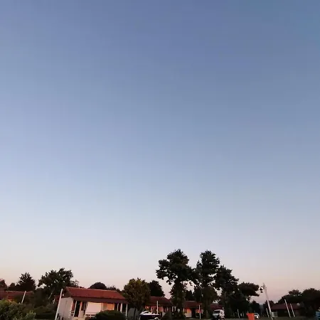 Live Asist Beach Canli Orman Kemping