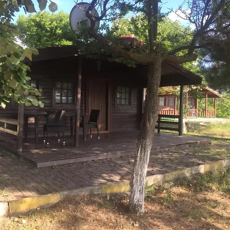 Kemping Live Asist Beach Canli Orman Stambuł