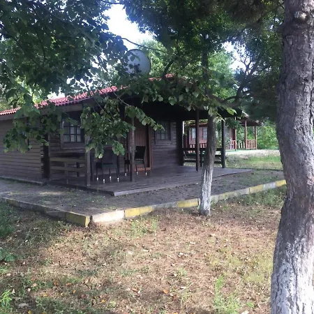 Kemping Live Asist Beach Canli Orman *