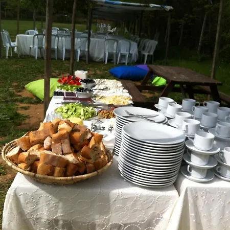 Kemping Live Asist Beach Canli Orman