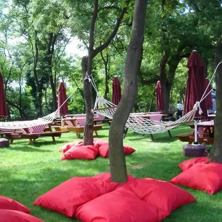Live Asist Beach Canli Orman *