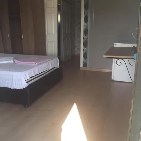 Live Asist Beach Canlı Orman Istanbul