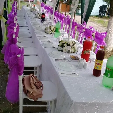 Live Asist Beach Canlı Orman Istanbul