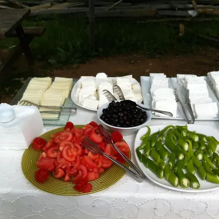 Live Asist Beach Canlı Orman Campingplatz Istanbul