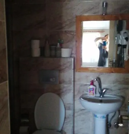 Live Asist Beach Canlı Orman Kamp alanı