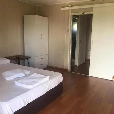 Live Asist Beach Canlı Orman * İstanbul