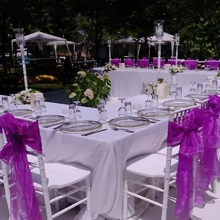 Live Asist Beach Canlı Orman