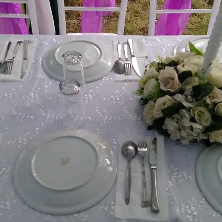 Live Asist Beach Canlı Orman Kamp alanı İstanbul